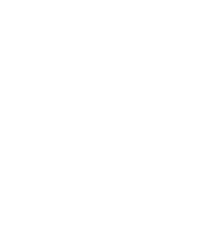 https://anakarenywalter.com/wp-content/uploads/2026/05/Logo-Blanco-transparente-320x333.png